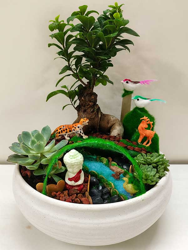 Fortune Harmony Garden