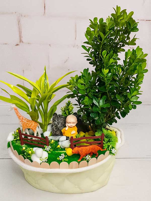 Zen Harmony Garden