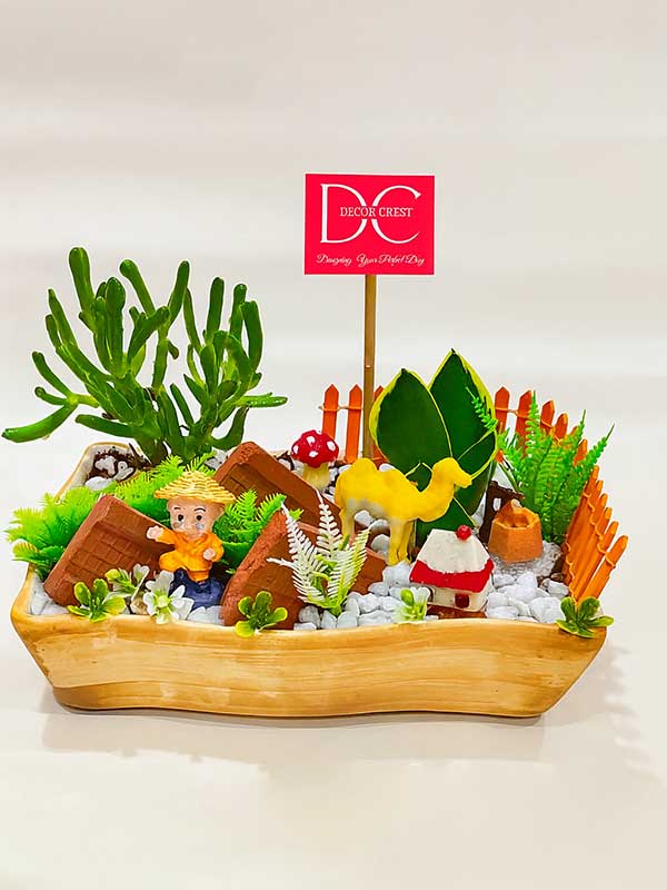 Zen Desert Garden
