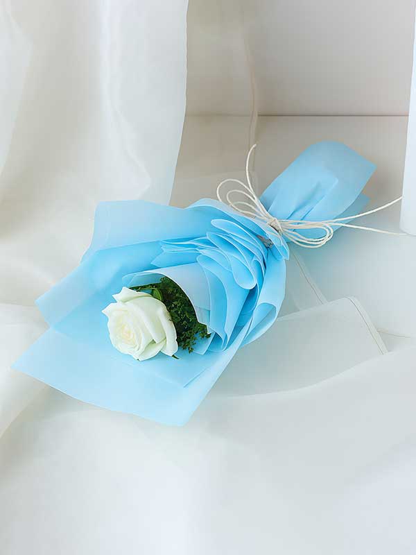 Skyy White Rose