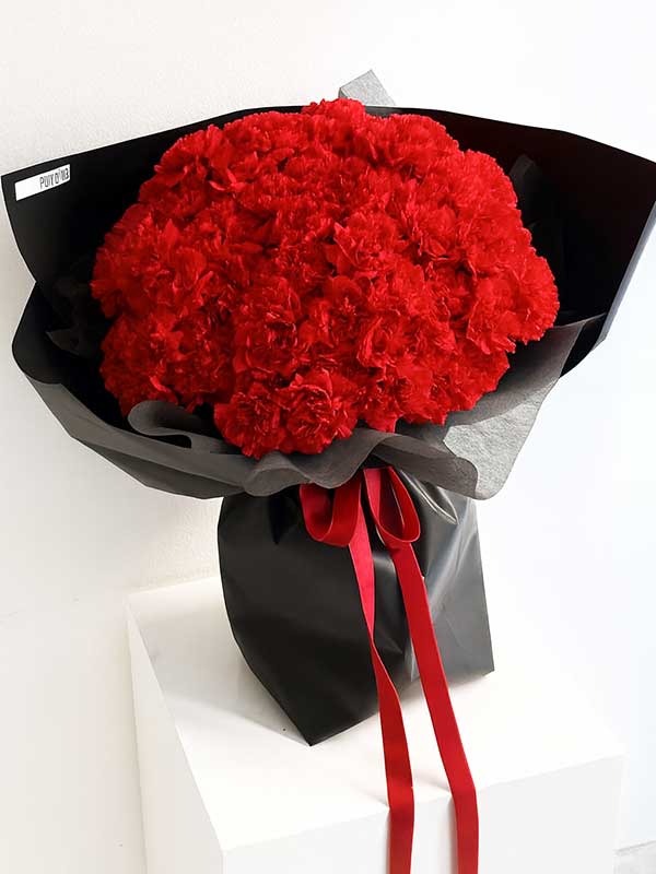 Red Carnation Elegance 💐