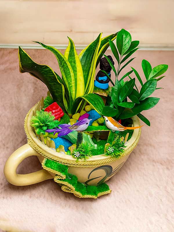 Serenity Bliss Garden