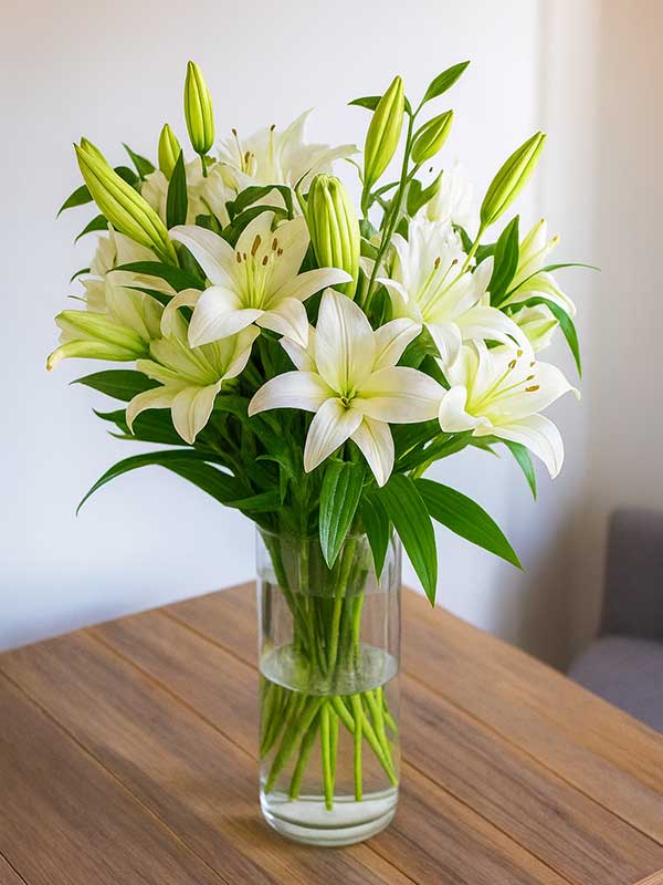 White Oriental Lily Vase