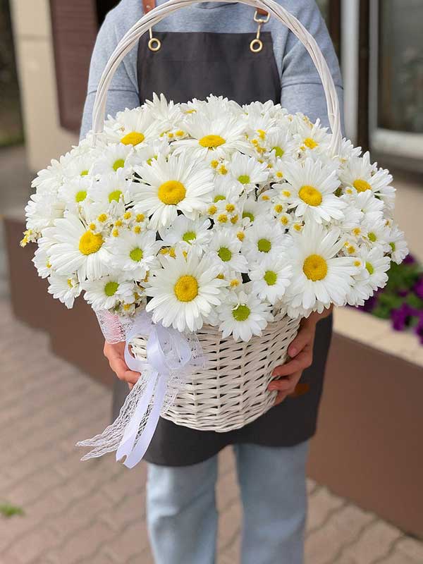 100 White Daisy Bucket