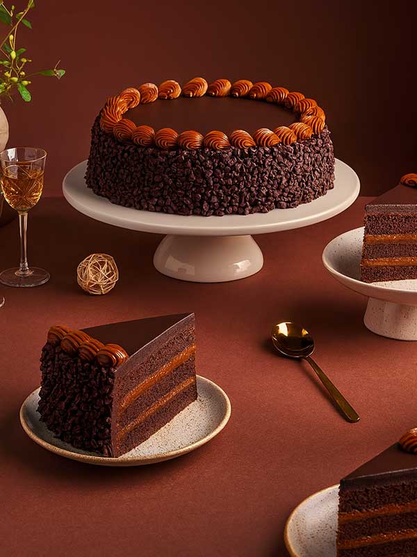 Choco Chip Chocolate Truffle Cake